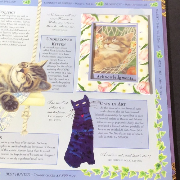 Catopia A Cat Compendium Big book of cat treasures & fun by Anne Mortimer 2007 - Picture 13 of 16